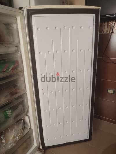 فريزر