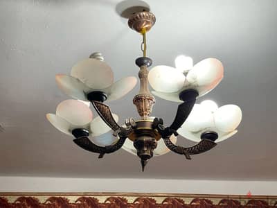 نجفه من ٦ اذرع