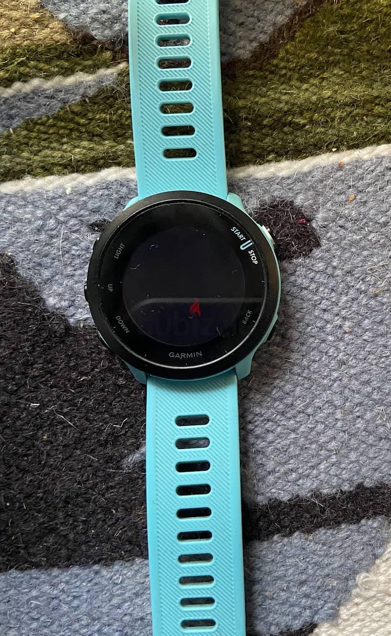 Garmin forerunner 55 1