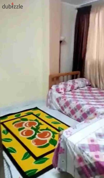 Luxury apartment for rent near the university