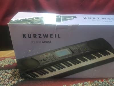 اورج جديد تماما Kurzweil 120A شرقي غربي
