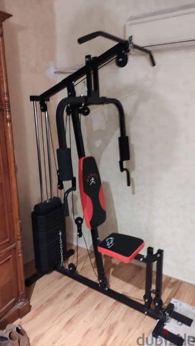 home-multi-gym-sports-equipment-205746823