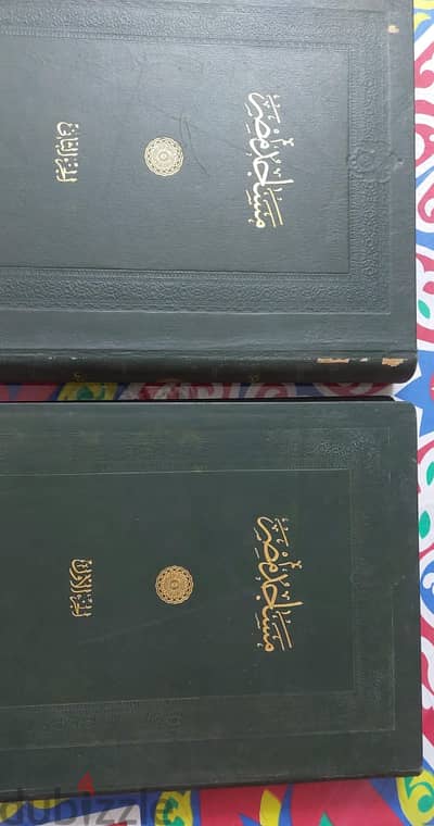 كتاب مساجد مصر