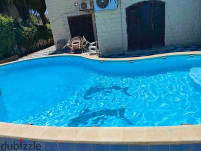 Villa for rent in Marina 1 with a private swimming pool