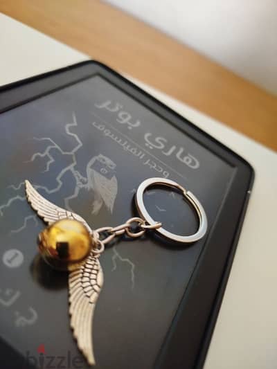 Harry potter Keychain
