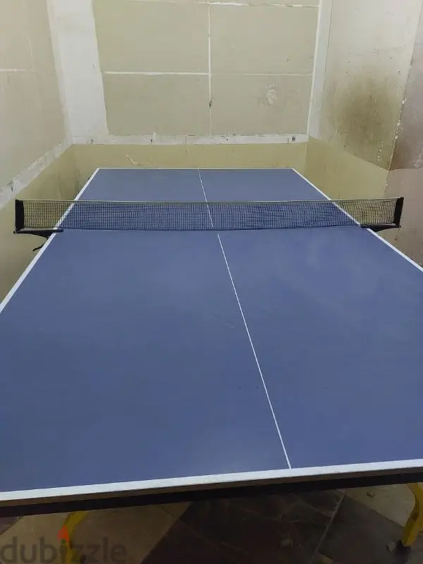 Mesa Ping64962392858113121