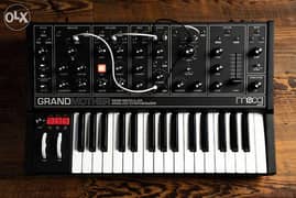 Moog Grandmother Synthesizer Dark Limited Edition