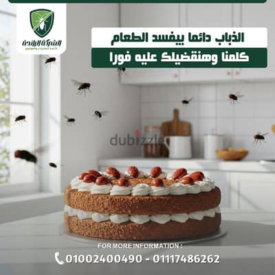 مكافحة حشرات وتعقيم المنزل بمصر