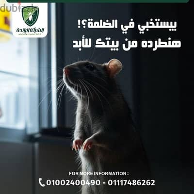 شركة رش حشرات المنزل بمصر