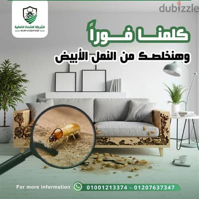 كلمنا وهنخلصك من النمل الابيض نهائي