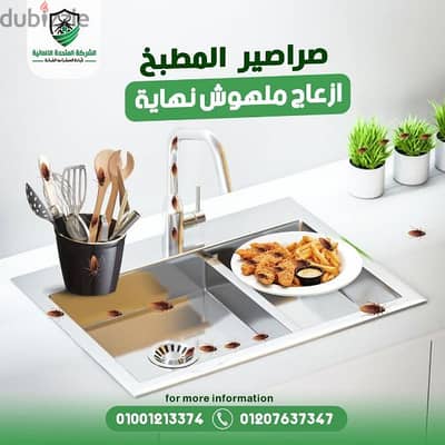 صراصير المطبخ مشكله كبيره تخلص نهائي