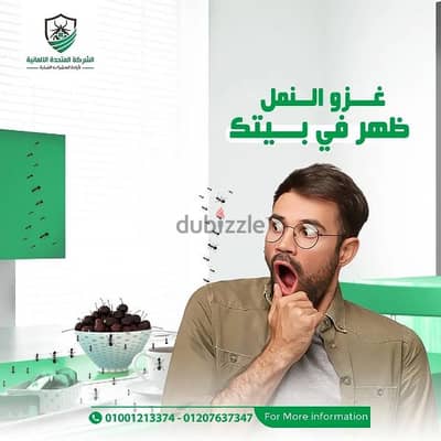 غزو النمل ظهر في منزلك