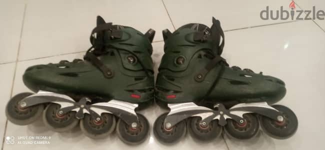 flying eagle f6s