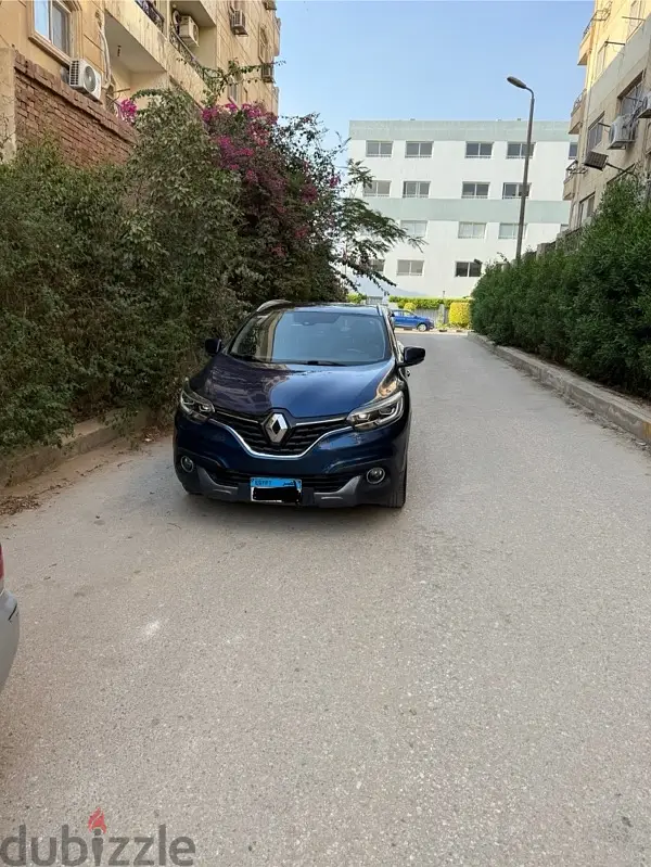 Renault Kadjar 201863701719782401120