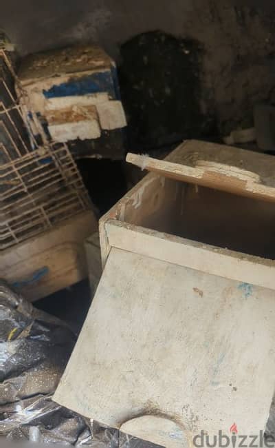 مسق تنفع لكل انواع الطيور بحاله جيده جدا