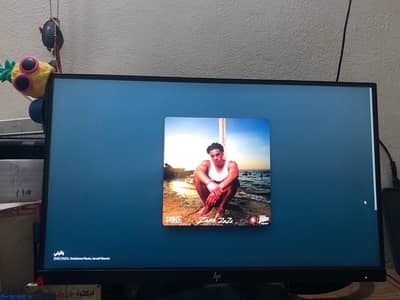 hp Z monitor