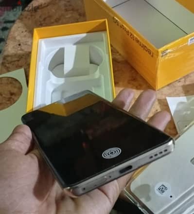 دمياط الجديده
