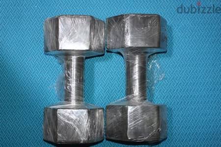 دمبر 10 كيلو الواحد سعر الاثنين 450