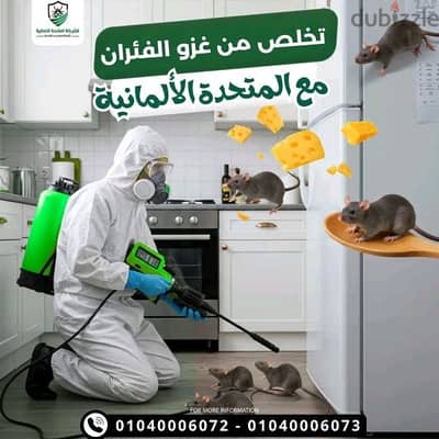 رش الحشرات والقوارض
