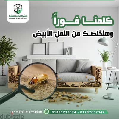 كلمنا وهنخلصك من الحشرات