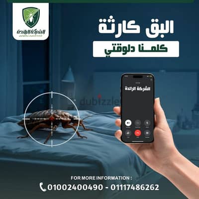 رش مبيدات حشرات وتعقيم المنزل