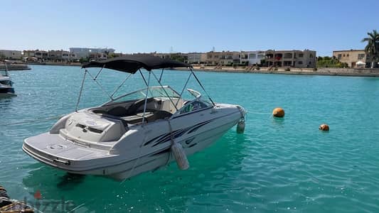 Searay Sundeck