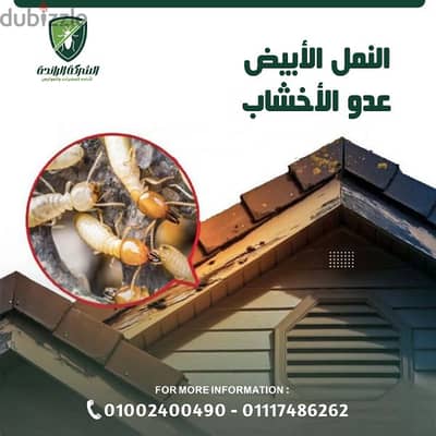 افضل شركة رش حشرات المنزل بمصر