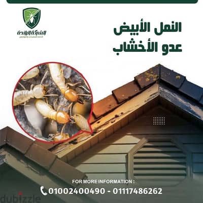 شركة رش مبيدات حشرات وتعقيم المنزل بمصر