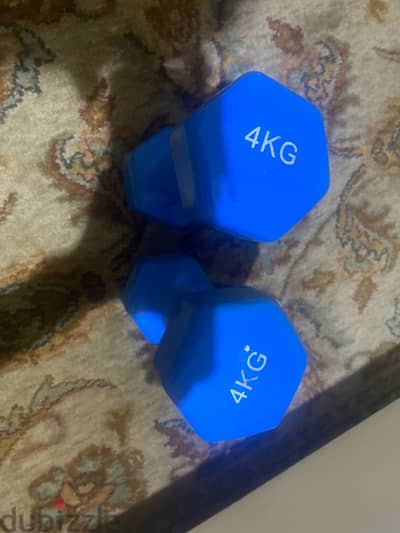 4kg dumbbells (pair)