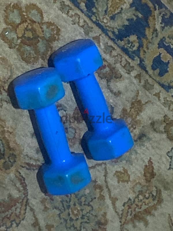4kg dumbbells (pair) 1