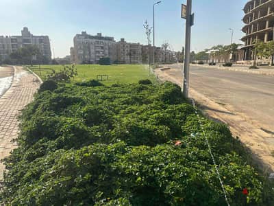 شقه للبيع بسعر لقطه بالتجمع الخامس اللوتس الجنوبيه  بها جميع الخدمات