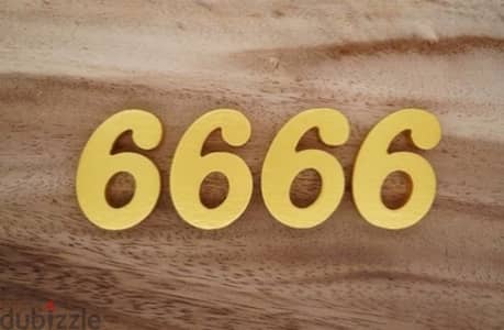 010-1X0-4-6666
