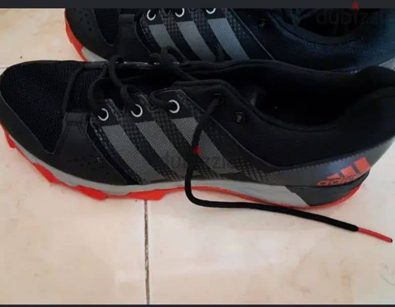 Adidas shoes 1
