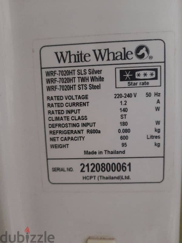 white whale 4