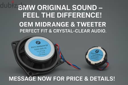 BMW Original Speakers