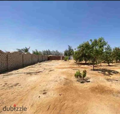 For sale a very distinctive acre in the Spanish countryside