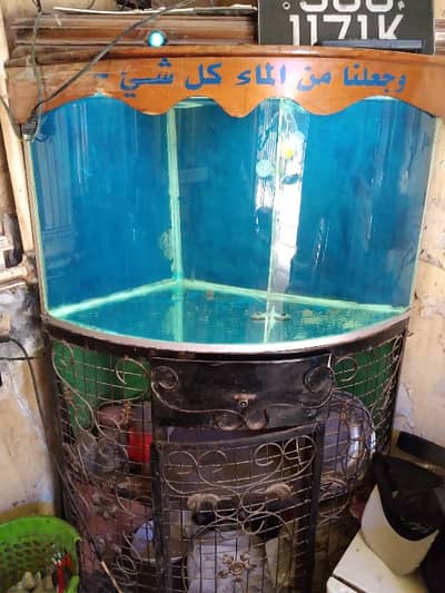 حوض سمك بترابيسته