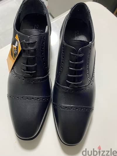 classic zam itay shoes