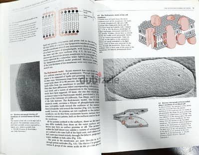 elements of biological science third edition from norton