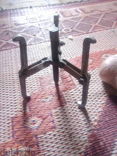زرجينه للبيع