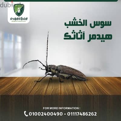 رش مبيدات لجميع انواع الحشرات والقوارض