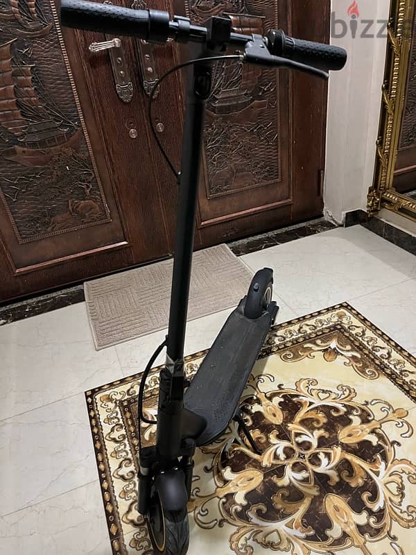Kick Scooter 5