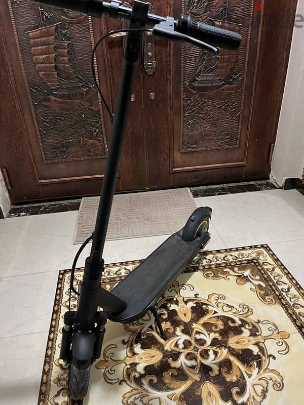 Kick Scooter 8