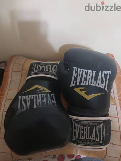 EVERLAST boxing gloves