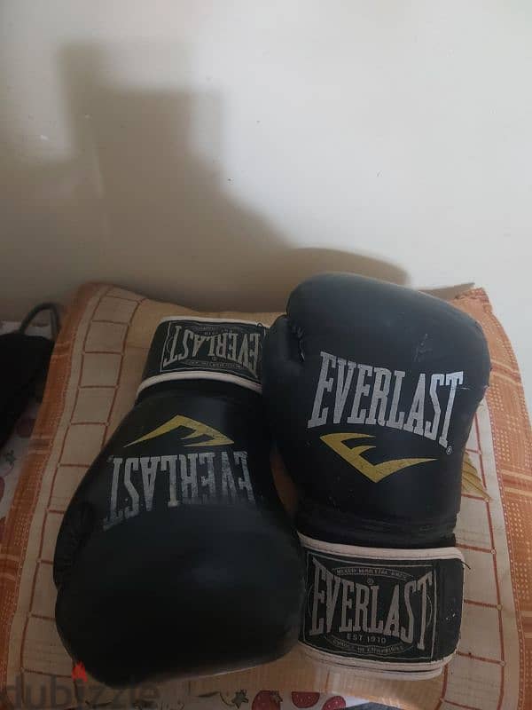 EVERLAST boxing gloves 1