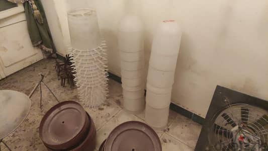 مستلزمات تربيه فراخ