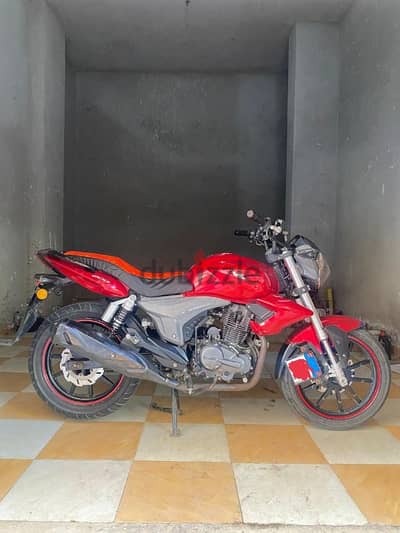 Benelli vlm 2021