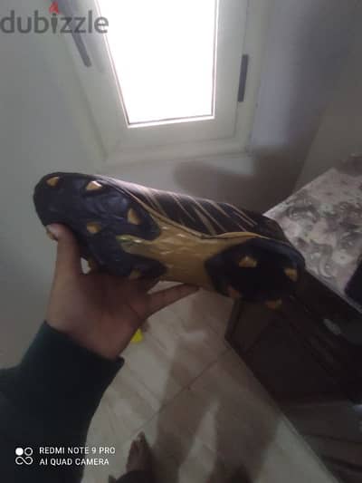 جنوب سيناء