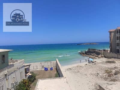 شقه للايجار اليومي علي البحر شهر العسل البيطاش العجمي الاسكندريه