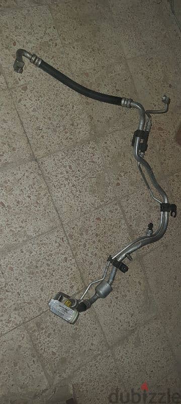 بنها قليوبية